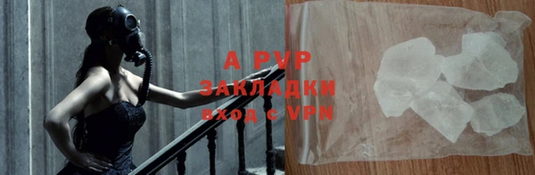 спайс Арсеньев