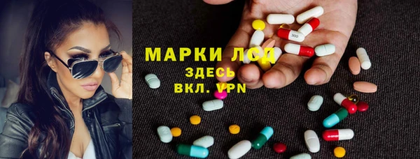 каннабис Аркадак